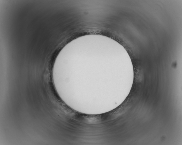 X0000097950370200803241024