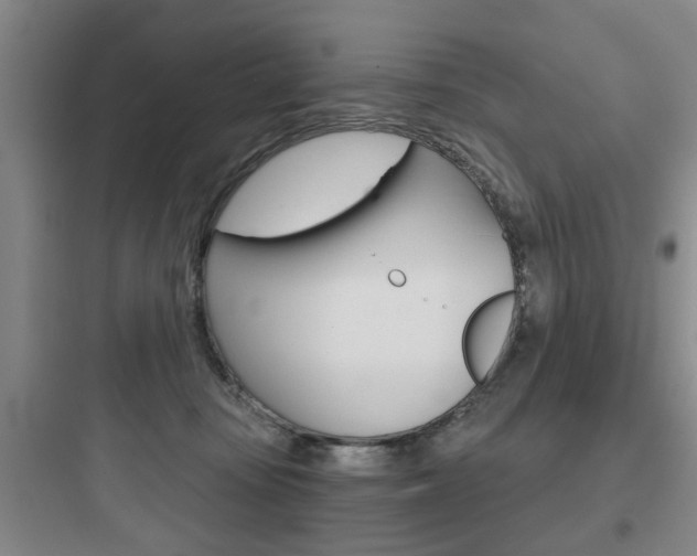 X0000097950371200803241024