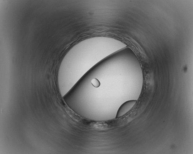 X0000097950372200803241024