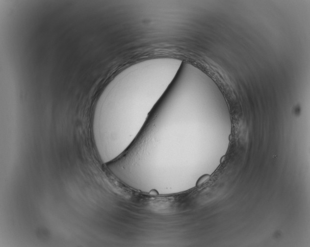 X0000097950373200803241024