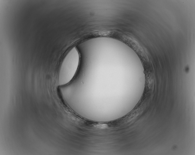X0000097950374200803241024