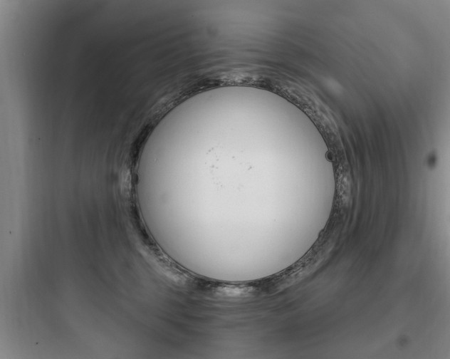 X0000097950375200803241024