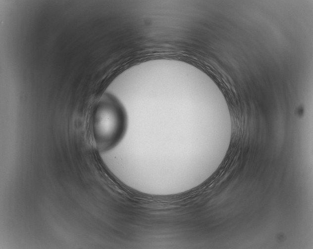X0000097950376200803241024