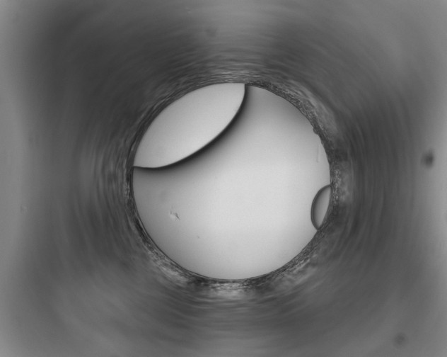 X0000097950377200803241024