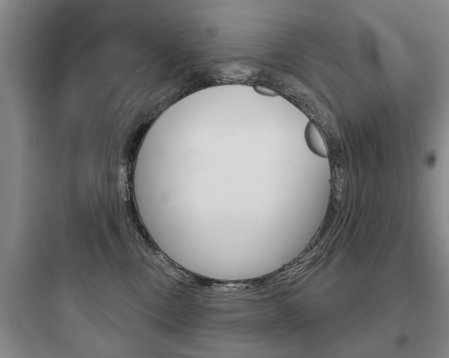 X0000097950378200803241024