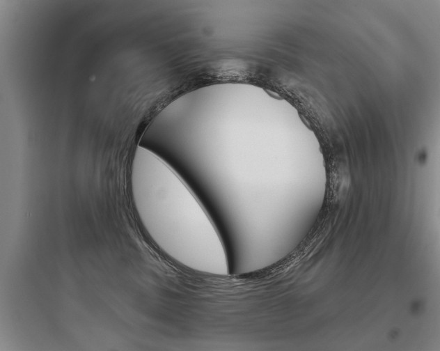 X0000097950379200803241024