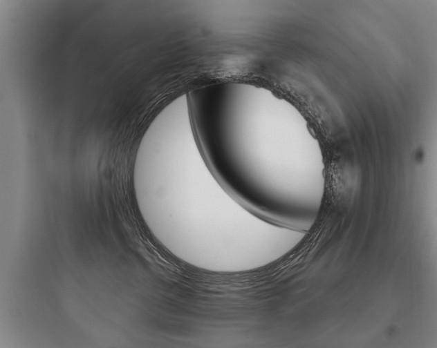 X0000097950380200803241024