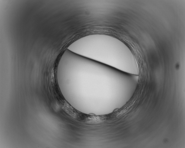X0000097950381200803241024