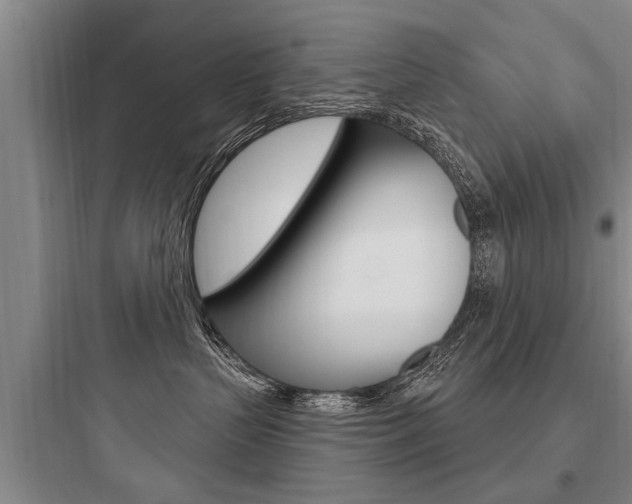 X0000097950383200803241024