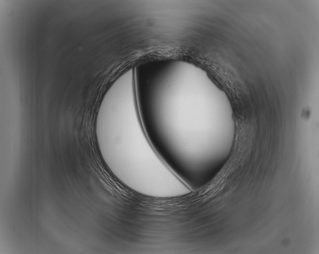 X0000097950384200803241024