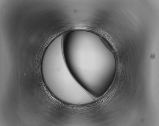 X0000097950385200803241023