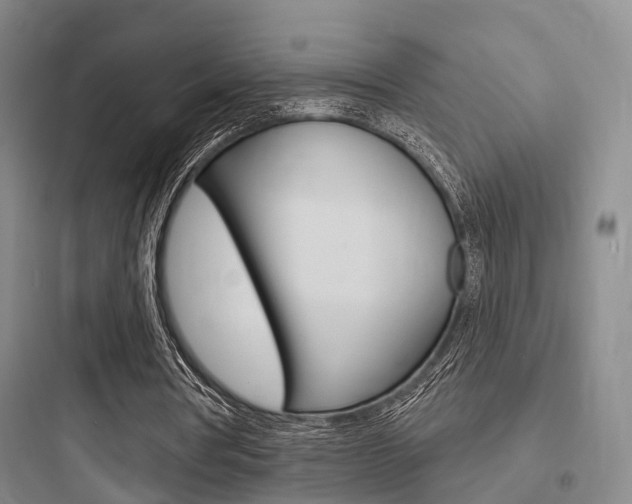 X0000097950386200803241023