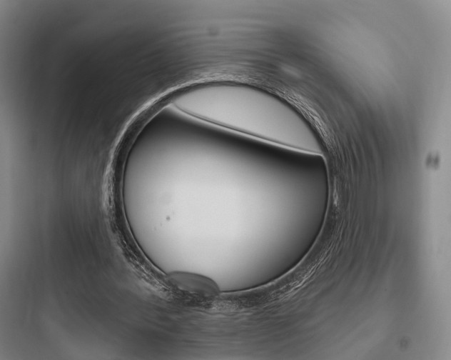X0000097950388200803241023