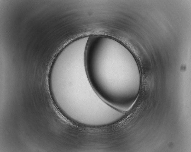 X0000097950389200803241023
