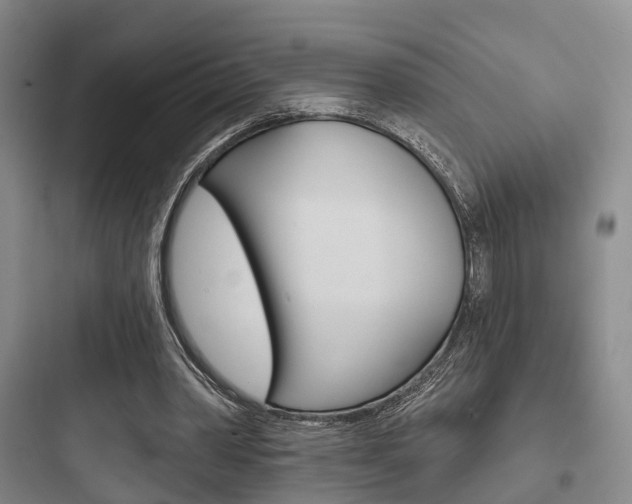 X0000097950390200803241023