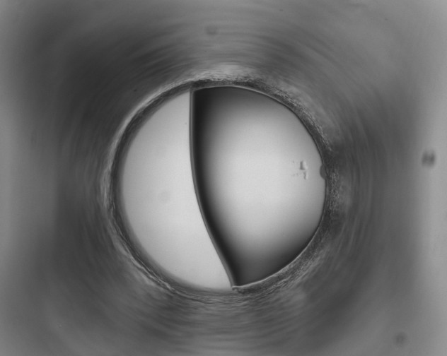 X0000097950392200803241023