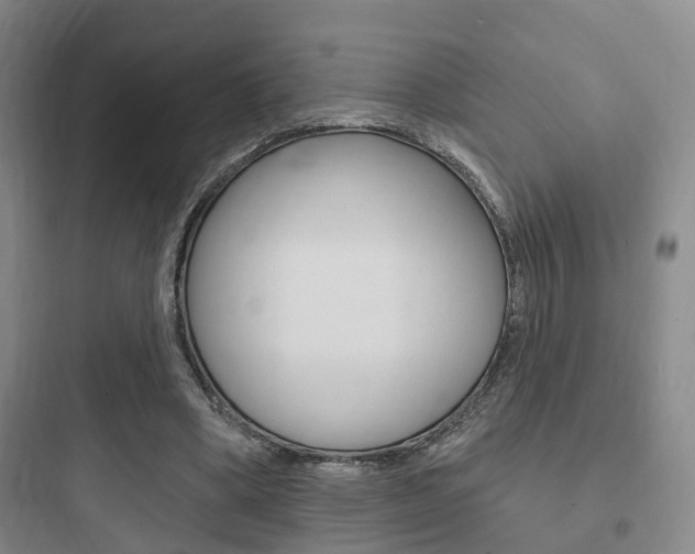X0000097950394200803241023