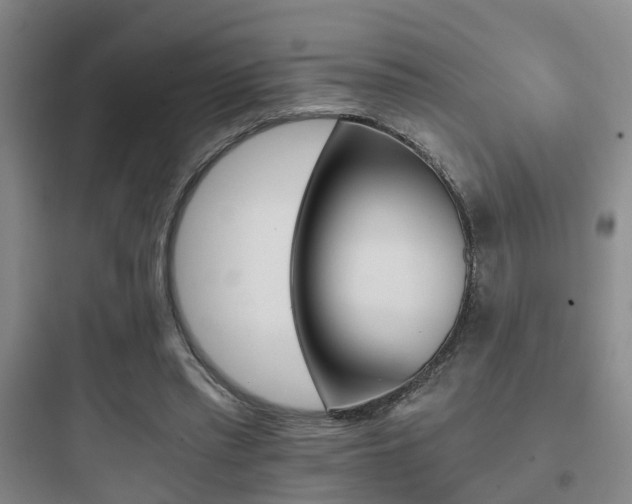 X0000097950397200803241023