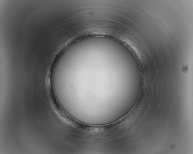 X0000097950398200803241023