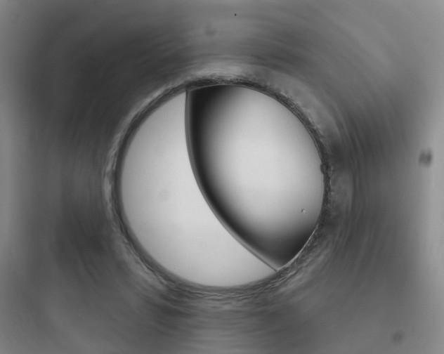 X0000097950399200803241023