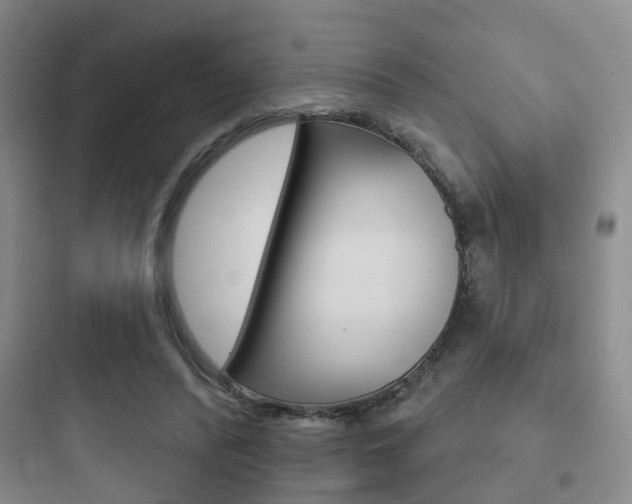 X0000097950400200803241023