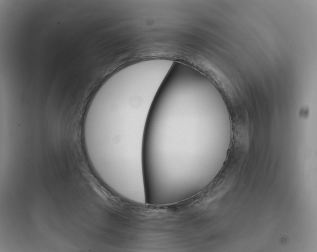 X0000097950401200803241023