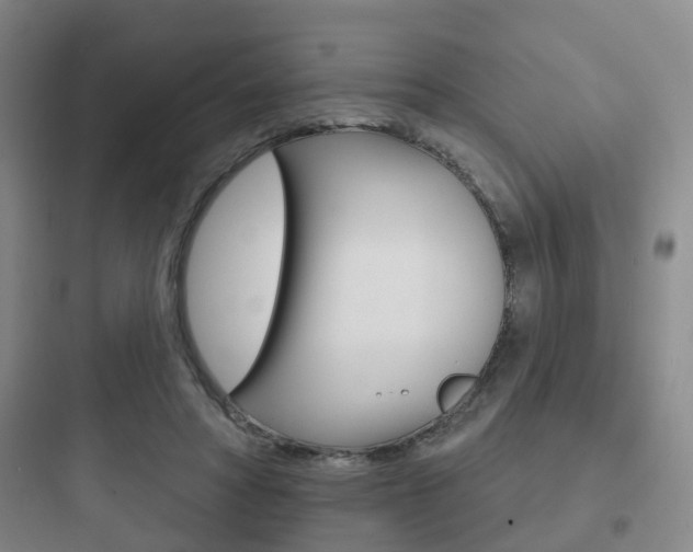X0000097950402200803241023