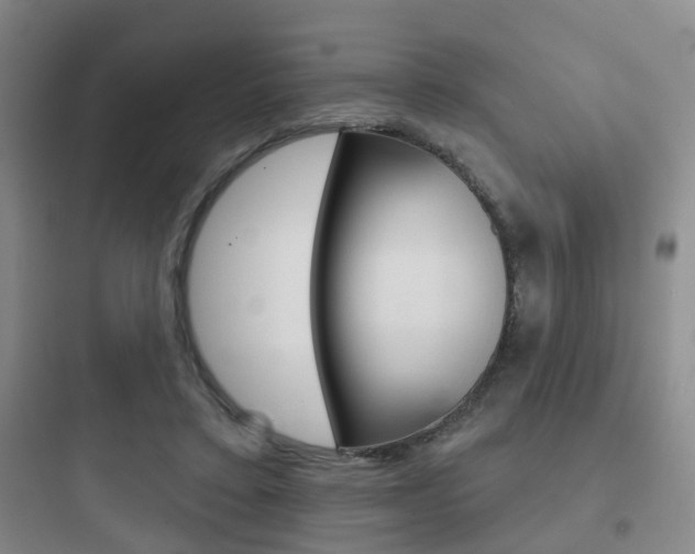 X0000097950403200803241023
