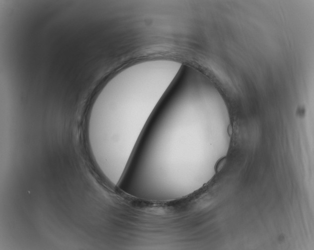 X0000097950404200803241023