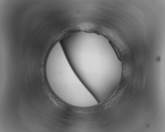 X0000097950405200803241023