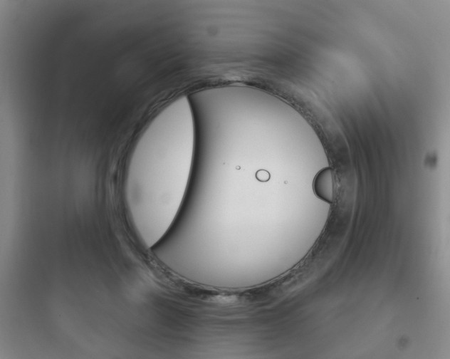 X0000097950406200803241023