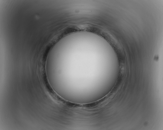 X0000097950408200803241023