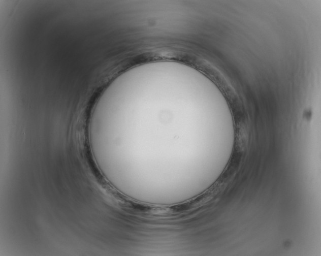 X0000097950410200803241023