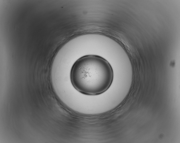 X0000097950411200803241023