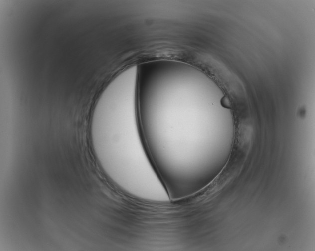 X0000097950413200803241023