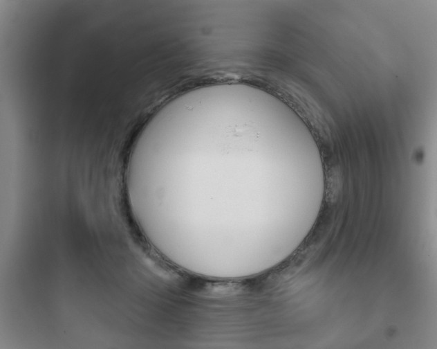 X0000097950414200803241023