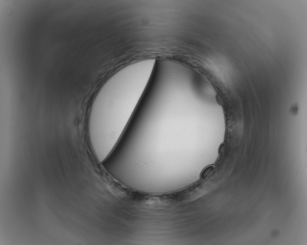 X0000097950416200803241023
