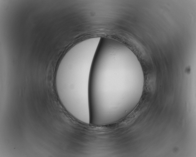 X0000097950417200803241023