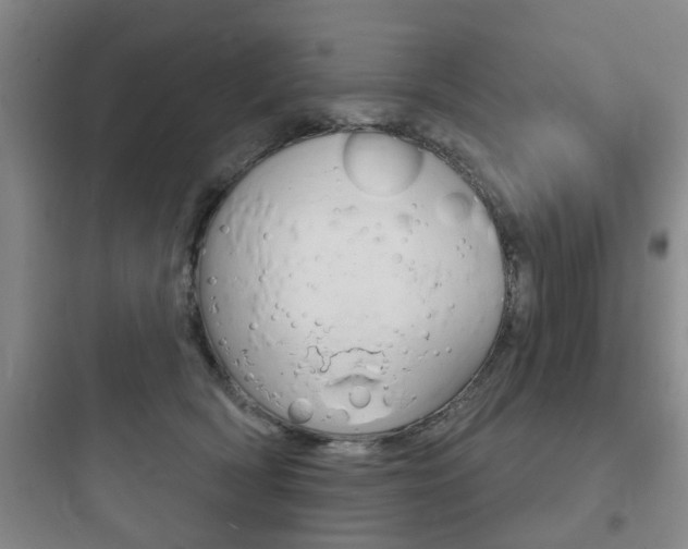 X0000097950418200803241023
