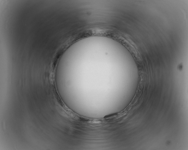 X0000097950419200803241023