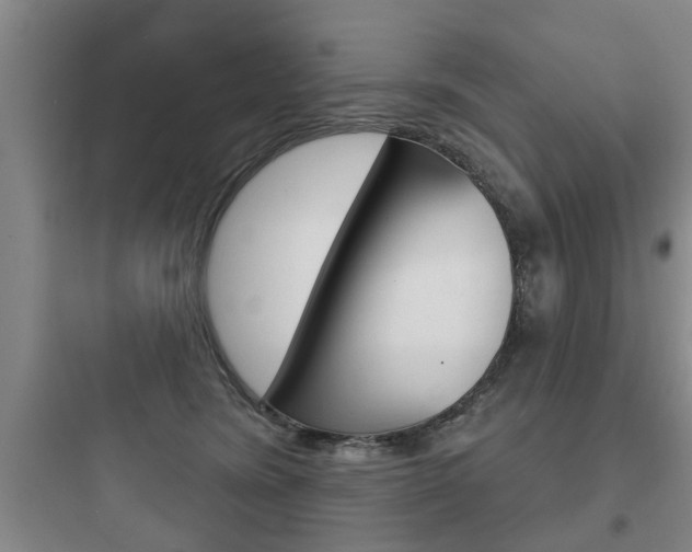 X0000097950420200803241023