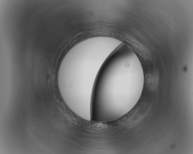 X0000097950421200803241023