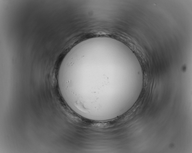 X0000097950422200803241023