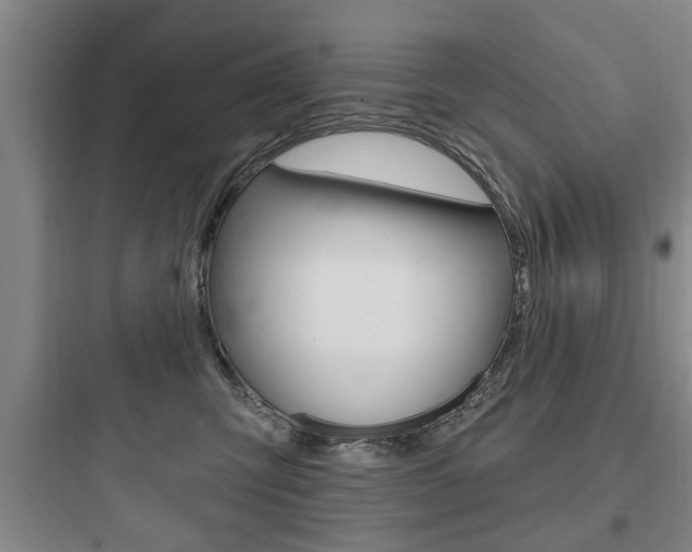 X0000097950423200803241023