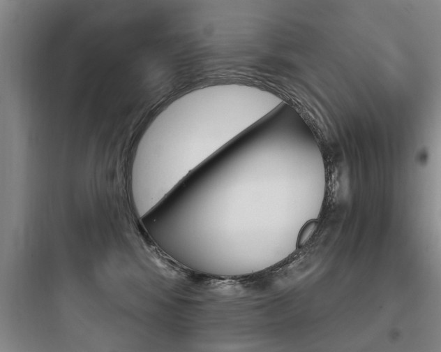 X0000097950424200803241023