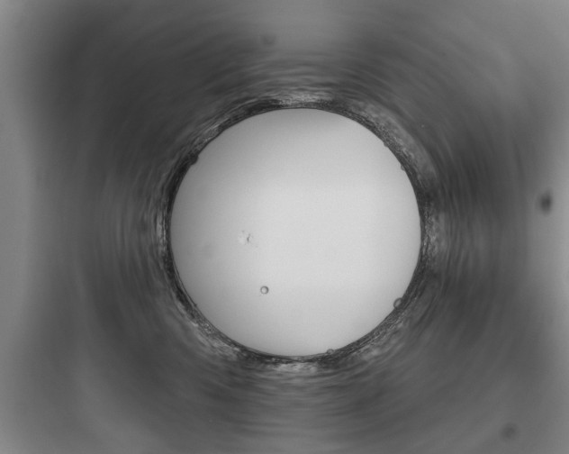 X0000097950426200803241023