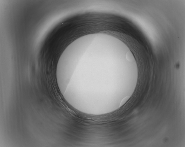 X0000097950431200803241023