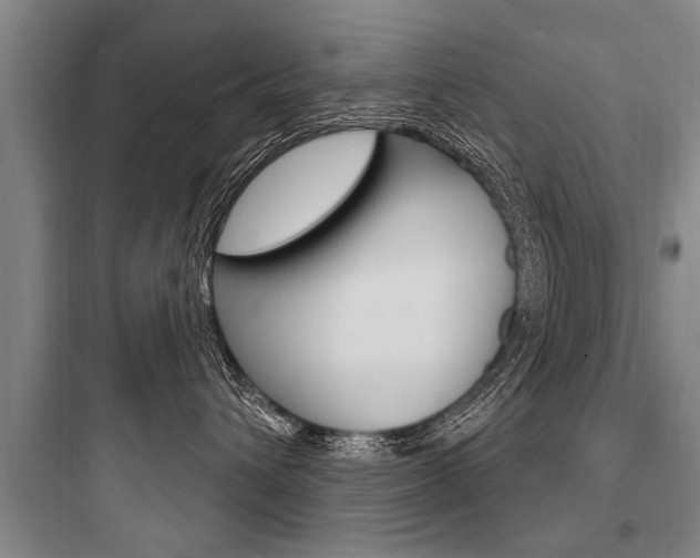 X0000097950432200803241023