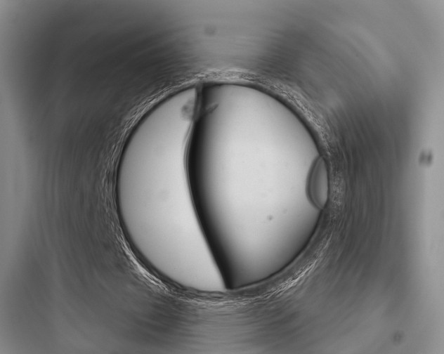 X0000097950433200803241022