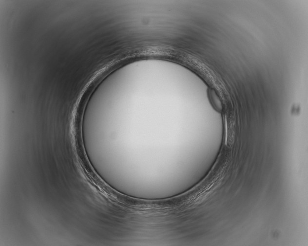 X0000097950435200803241022